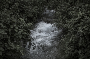  River in Lacanjá Chansayab.
